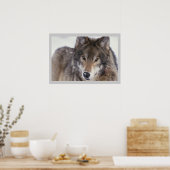 Wildlife Fotografy Gray Wolf Poster 18x24 (Küche)