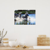 Wildlife Fotografy Wild Horses Poster 18x24 (Küche)