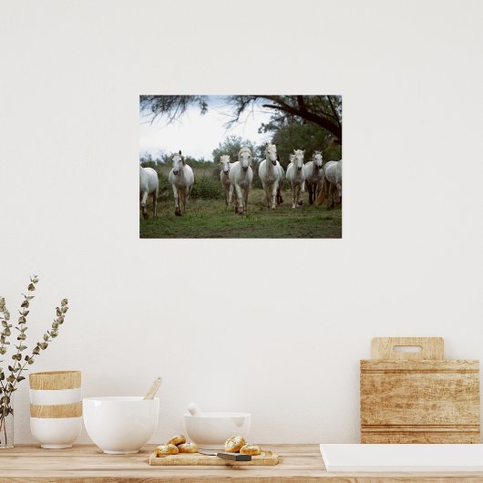 Wildlife Fotografy Wild Horses Poster 18x24 (Küche)