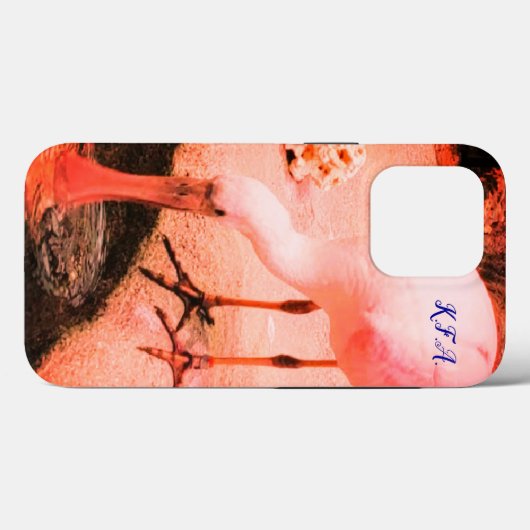 Wildlife Fun Roseate Spoonbill Trendy Case-Mate iPhone Hülle (Rückseite (Horizontal))
