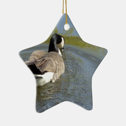 Wildlife Gänseschwimmen, Wasserzirkel Keramikornament (Rechts)