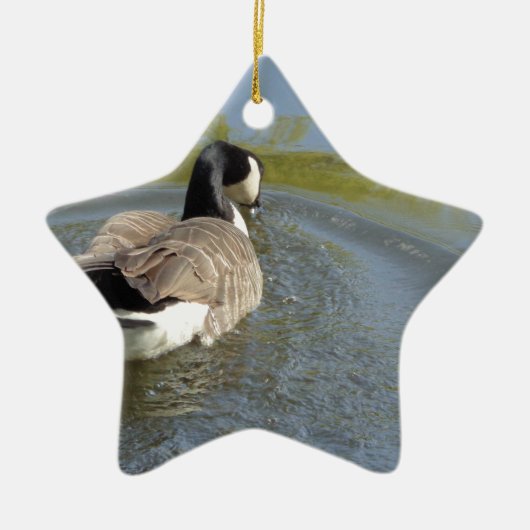 Wildlife Gänseschwimmen, Wasserzirkel Keramikornament (Vorne)