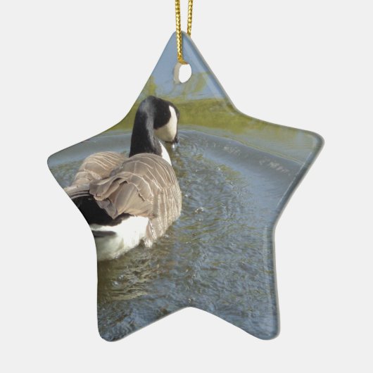 Wildlife Gänseschwimmen, Wasserzirkel Keramikornament (Links)