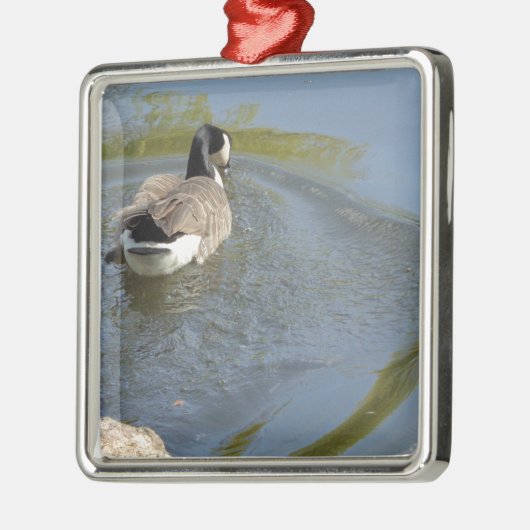 Wildlife Gänseschwimmen, Wasserzirkel Ornament Aus Metall (Links)