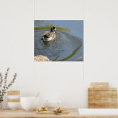 Wildlife Gänseschwimmen, Wasserzirkel Poster (Küche)