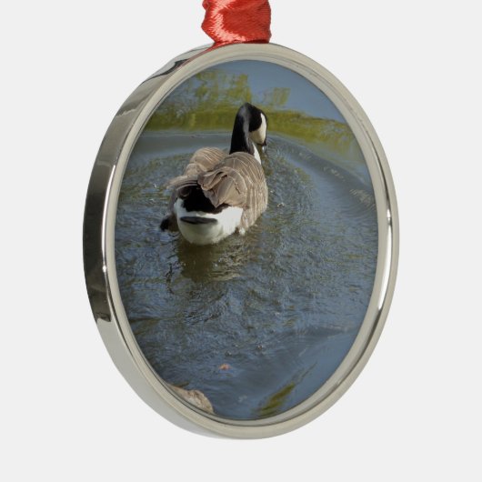 Wildlife Gänseschwimmen, Wasserzirkel Silbernes Ornament (Rechts)