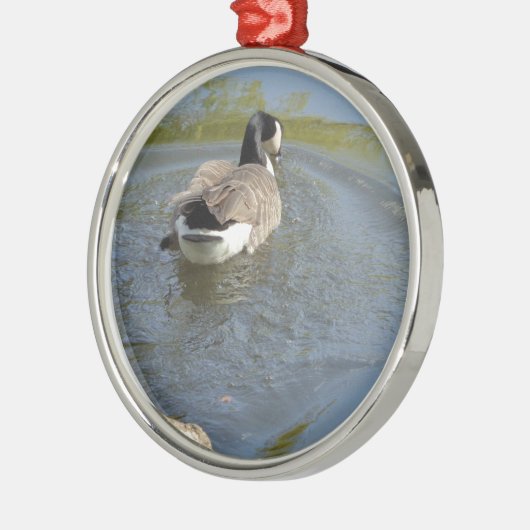Wildlife Gänseschwimmen, Wasserzirkel Silbernes Ornament (Links)