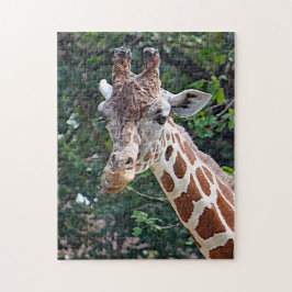 Wildlife Giraffe Foto Puzzle