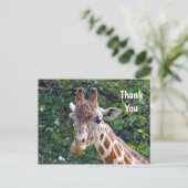 Wildlife Giraffe Foto Vielen Dank Postkarte (Stehend Vorderseite)