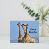Wildlife Giraffe Herd Foto Geburtstag Postkarte (Stehend Vorderseite)
