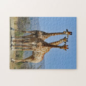 Wildlife Giraffe Herd Foto Puzzle (Horizontal)
