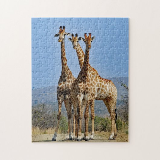 Wildlife Giraffe Herd Foto Puzzle (Vertikal)