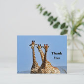 Wildlife Giraffe Herd Foto Vielen Dank Postkarte (Stehend Vorderseite)