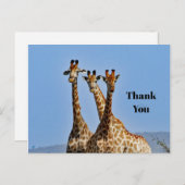 Wildlife Giraffe Herd Foto Vielen Dank Postkarte (Vorne/Hinten)