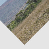 Wildlife Giraffe Mutter und Baby Foto Seidenpapier (Ausschnitt)