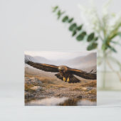 Wildlife Golden Eagle Scottish Highlands Postkarte (Stehend Vorderseite)