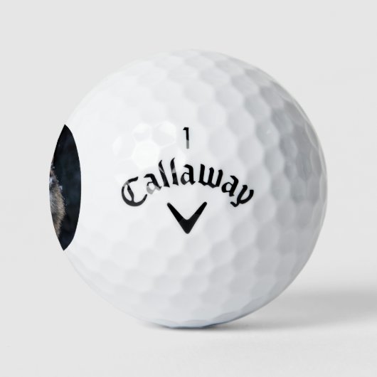 Wildlife Gray Wolf Wilderness Wolf Golfball (Logo)
