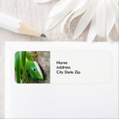 Wildlife Green Carolina Anole Lizard Foto (Insitu)