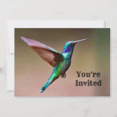 Wildlife Green Hummingbird Foto Geburtstag Einladung (Vorderseite)