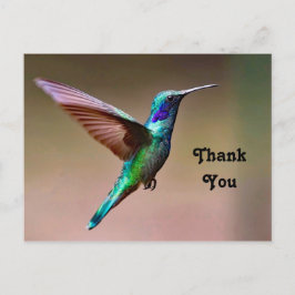 Wildlife Green Hummingbird Foto Vielen Dank Postkarte