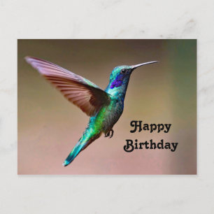 Wildlife Grüner Kolibri Foto Geburtstag Postkarte