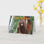 Wildlife Happy Birthday Karte (Gelbe Blume)