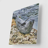 Wildlife Harbour Siegel Schwanz Talking Sun Bather Quadratische Wanduhr (Winkel)