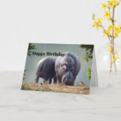 Wildlife Hippo Foto Geburtstag Karte (Gelbe Blume)