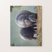 Wildlife Hippo Foto Puzzle (Vertikal)