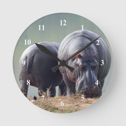 Wildlife Hippo Foto Runde Wanduhr (Vorderseite)