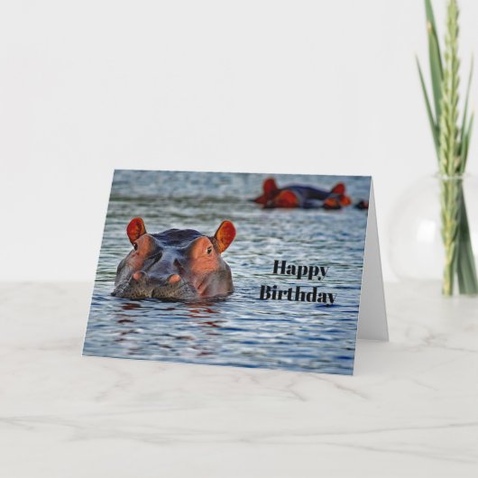 Wildlife Hippo Water Foto Geburtstag Karte (Vorderseite)