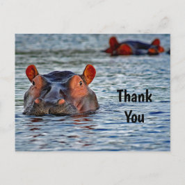Wildlife Hippo Water Foto Vielen Dank Postkarte