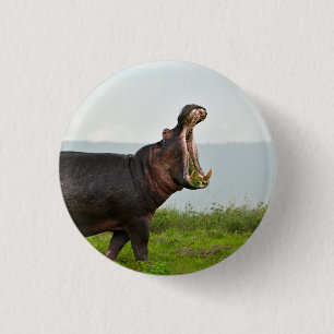 Wildlife Hippopotamus Foto Button
