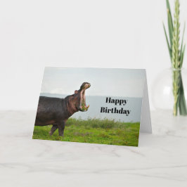 Wildlife Hippopotamus Foto Geburtstag Karte