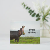 Wildlife Hippopotamus Foto Geburtstag Postkarte (Stehend Vorderseite)