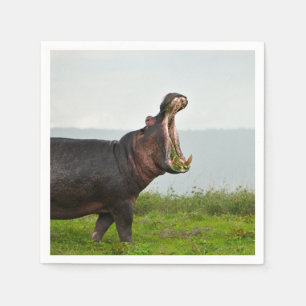 Wildlife Hippopotamus Foto Serviette