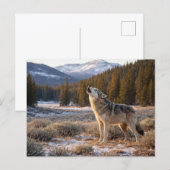 Wildlife Howling Gray Wolf Postkarte (Vorne/Hinten)