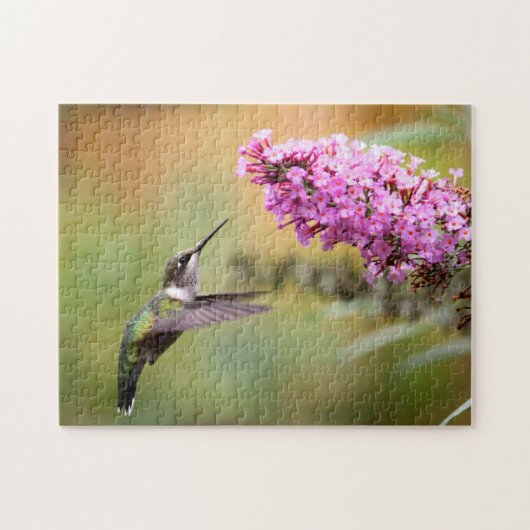 Wildlife Hummingbird Floral Foto Puzzle (Horizontal)
