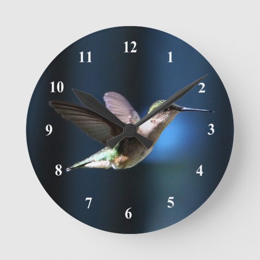 Wildlife Hummingbird Foto Runde Wanduhr (Vorderseite)
