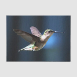 Wildlife Hummingbird Foto Seidenpapier