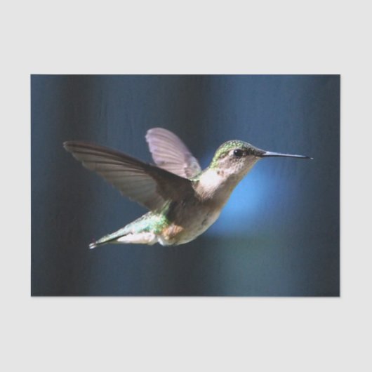 Wildlife Hummingbird Foto Seidenpapier (Vorderseite)