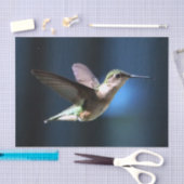 Wildlife Hummingbird Foto Seidenpapier (Handwerk)