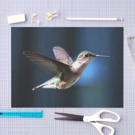 Wildlife Hummingbird Foto Seidenpapier (Handwerk)