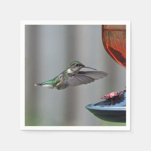 Wildlife Hummingbird Red Feeder Foto Serviette (Vorderseite)