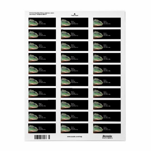 Wildlife Iguana Foto (Vorne)