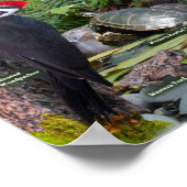 WIldlife im Westen Poster (Ecke)