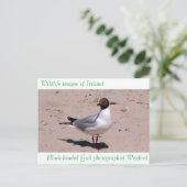 Wildlife images auf Postkarte (Stehend Vorderseite)
