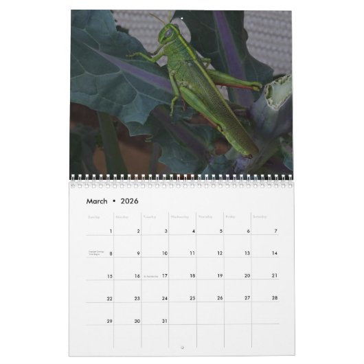 Wildlife & Insects Kalender (Mär 2026)