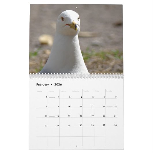Wildlife & Insects Kalender (Feb 2026)