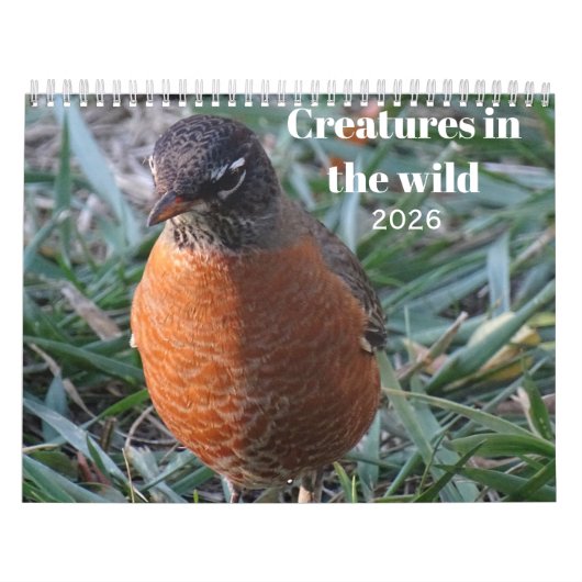 Wildlife & Insects Kalender (Titelbild)